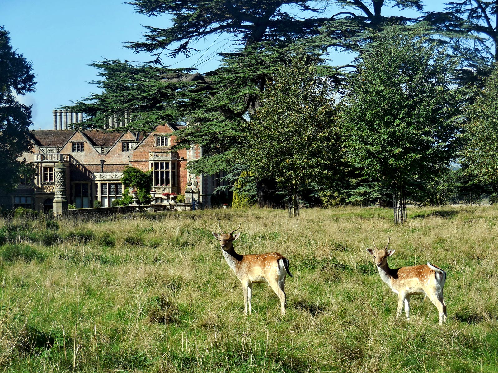 Charlecote Park, Warwickshire